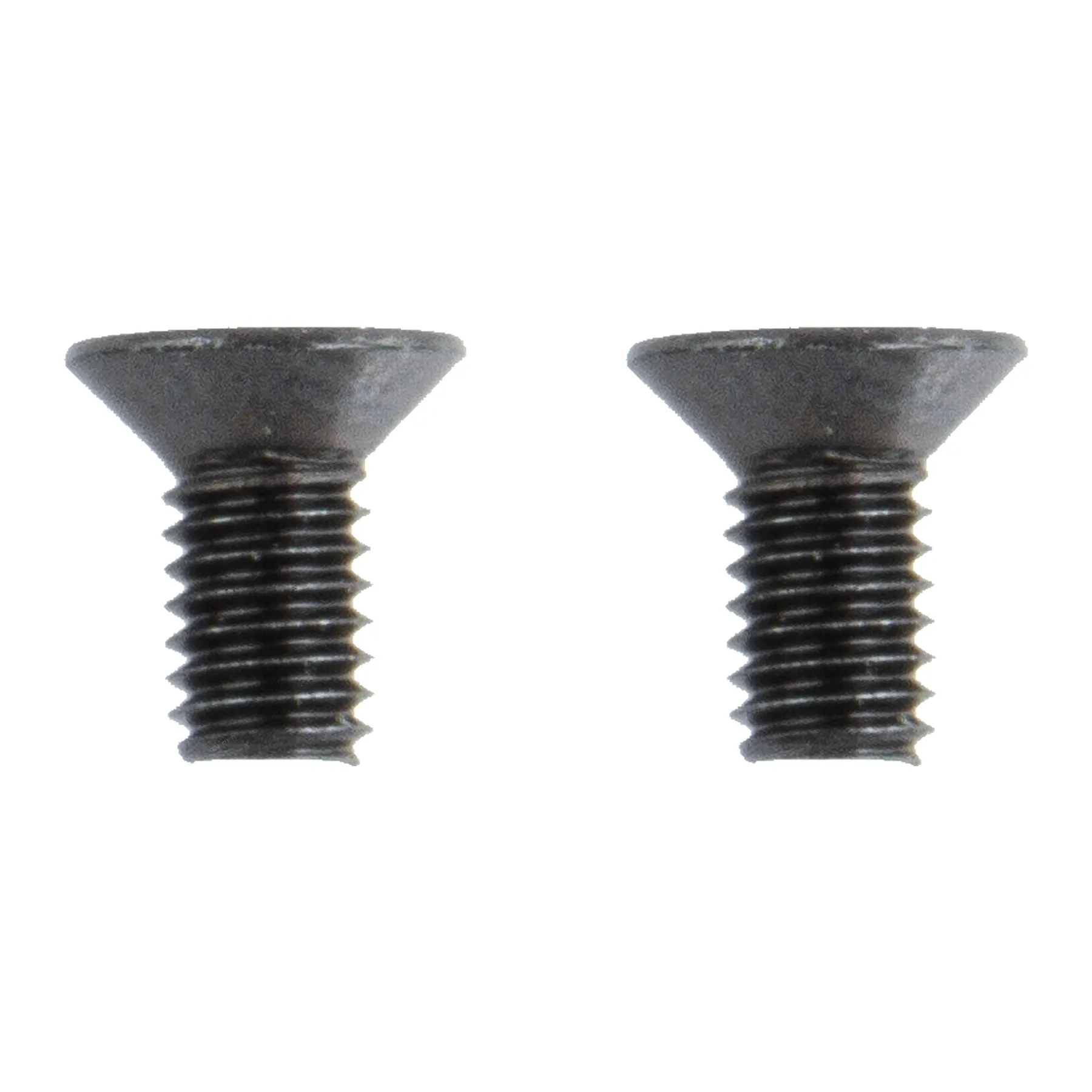 Motor Cover Screw
