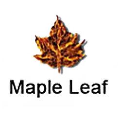 Maple Leaf Maple Leaf