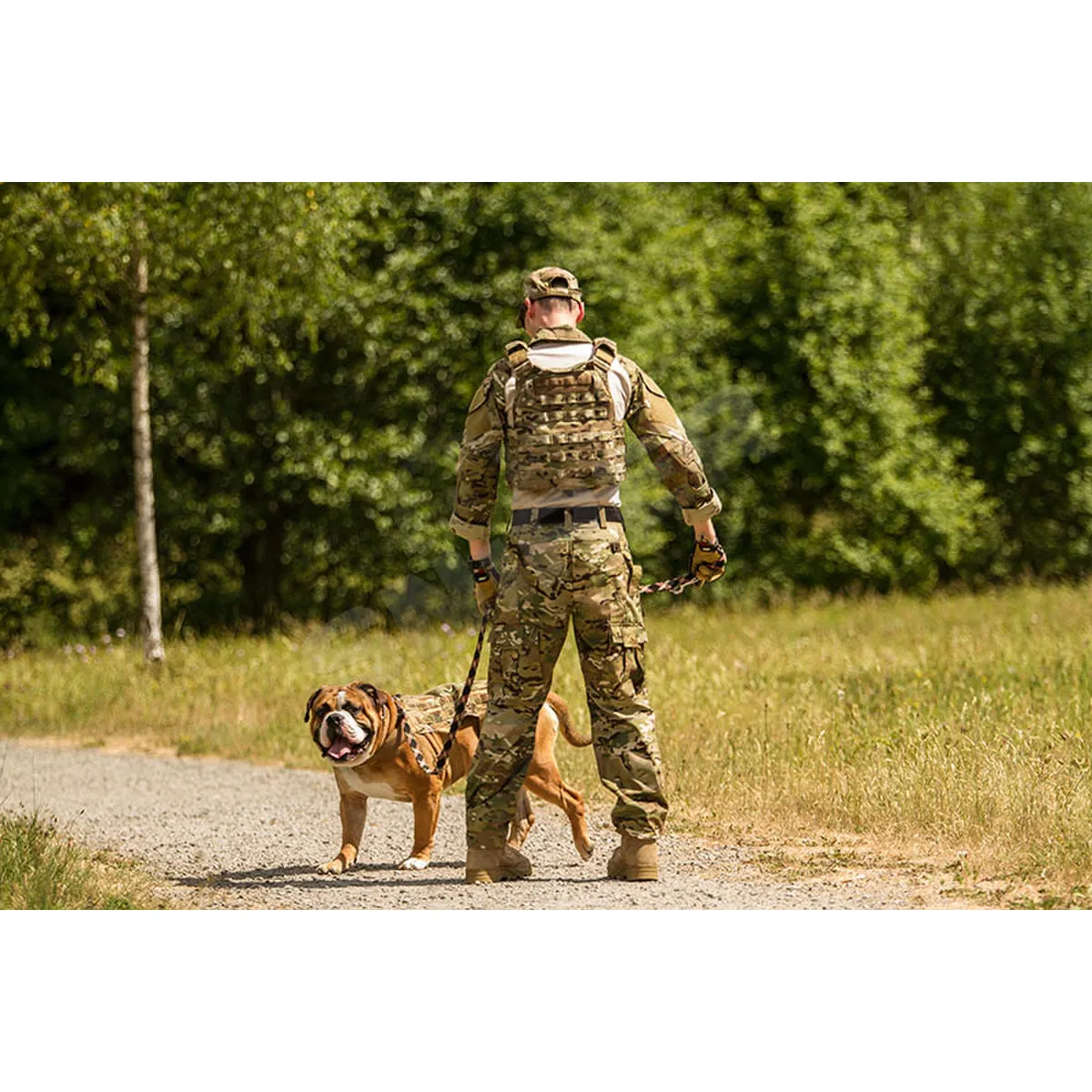 Vest of Dogs, Black