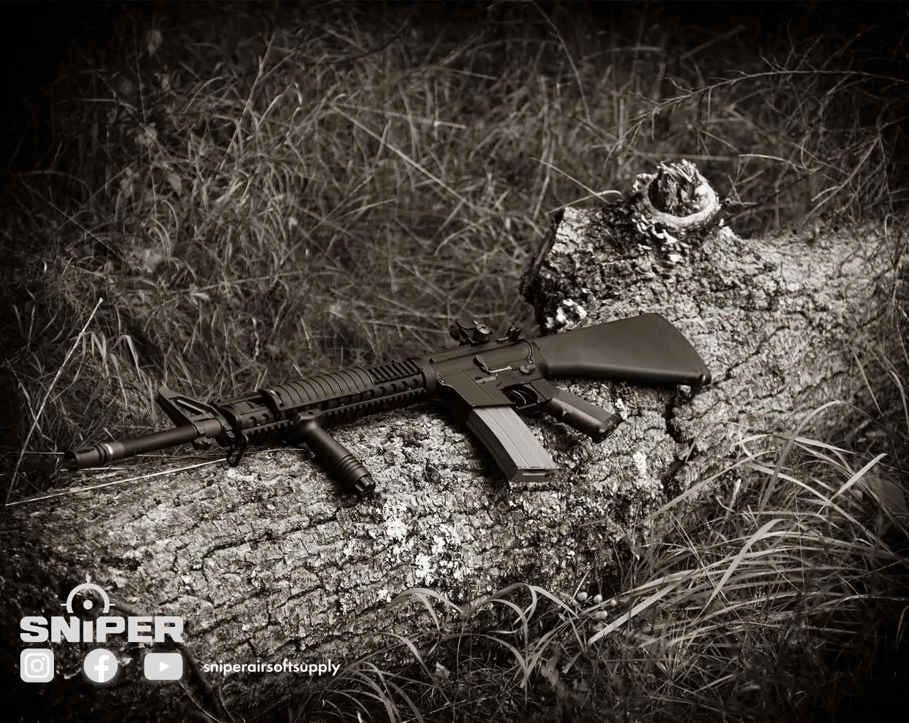 Ares M16 RIS Rifle EFCS (S)AEG