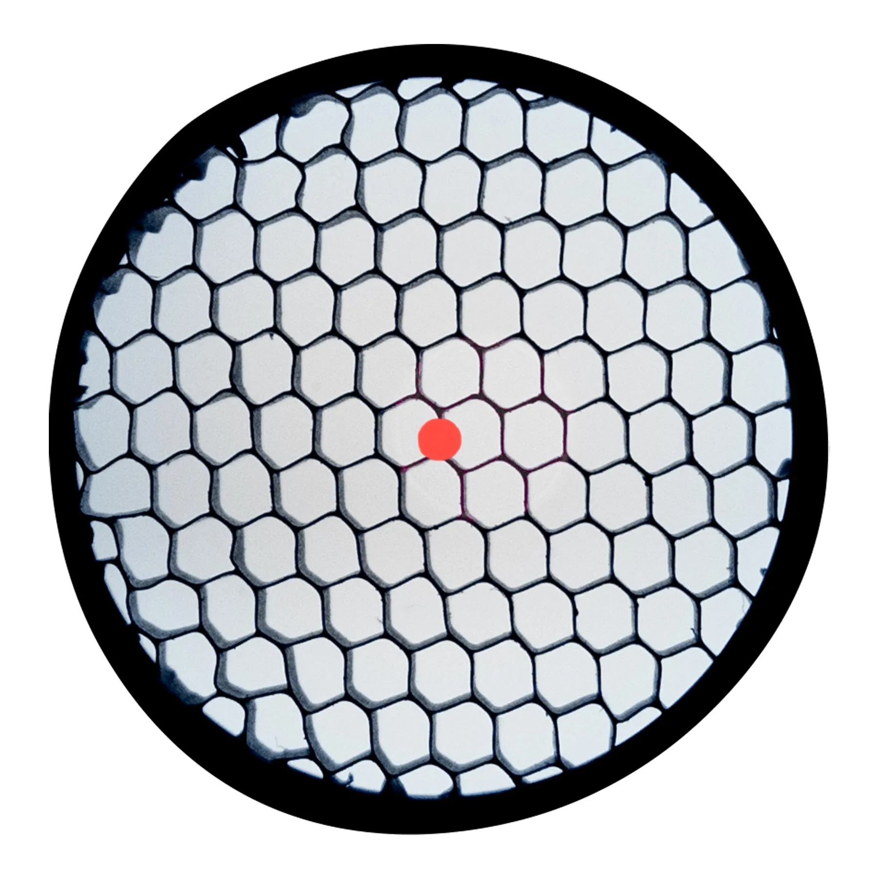 BO Solar X-2 QD Red Dot Hi-Mount, Red