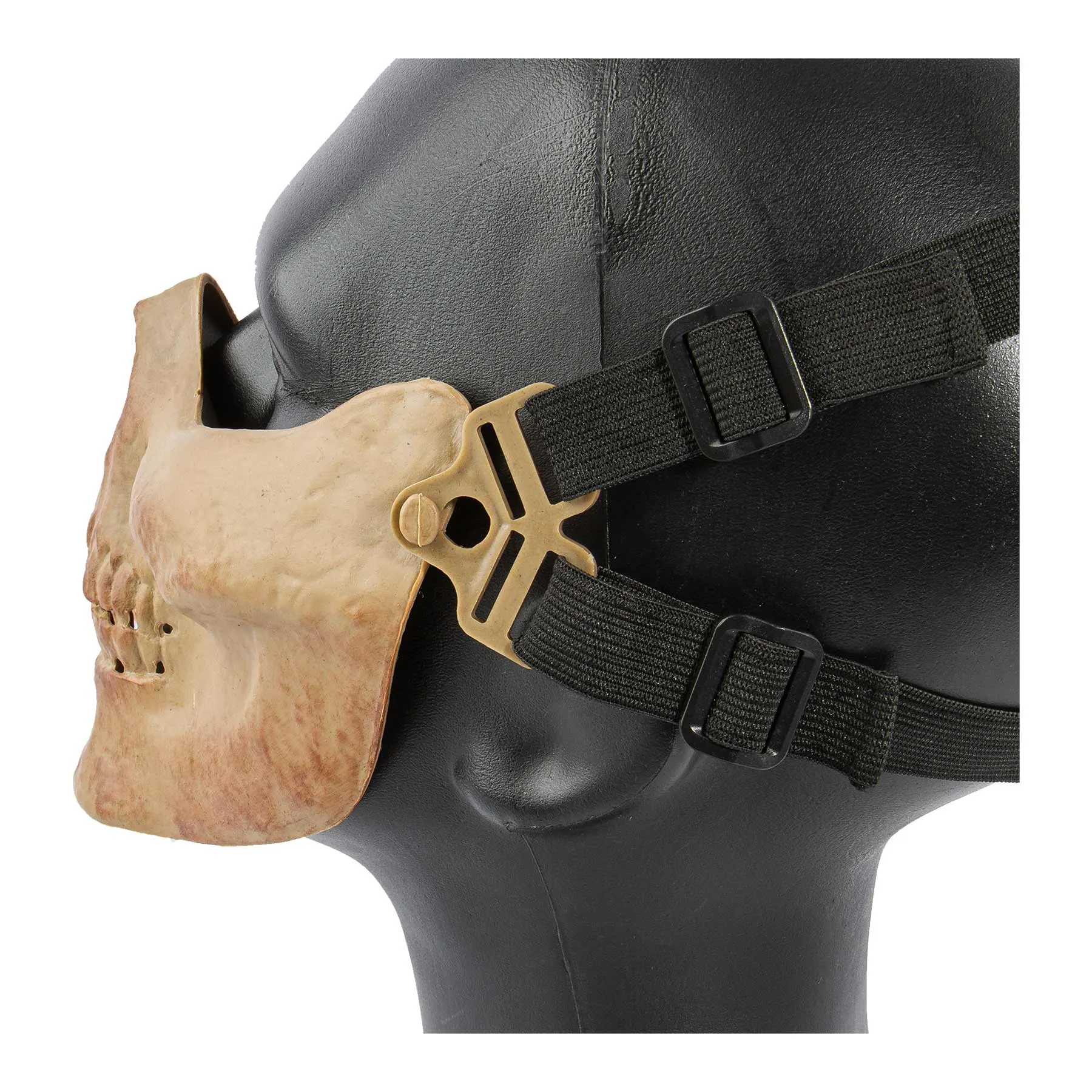 Skull Half-Mask, Dried Bone Skeleton