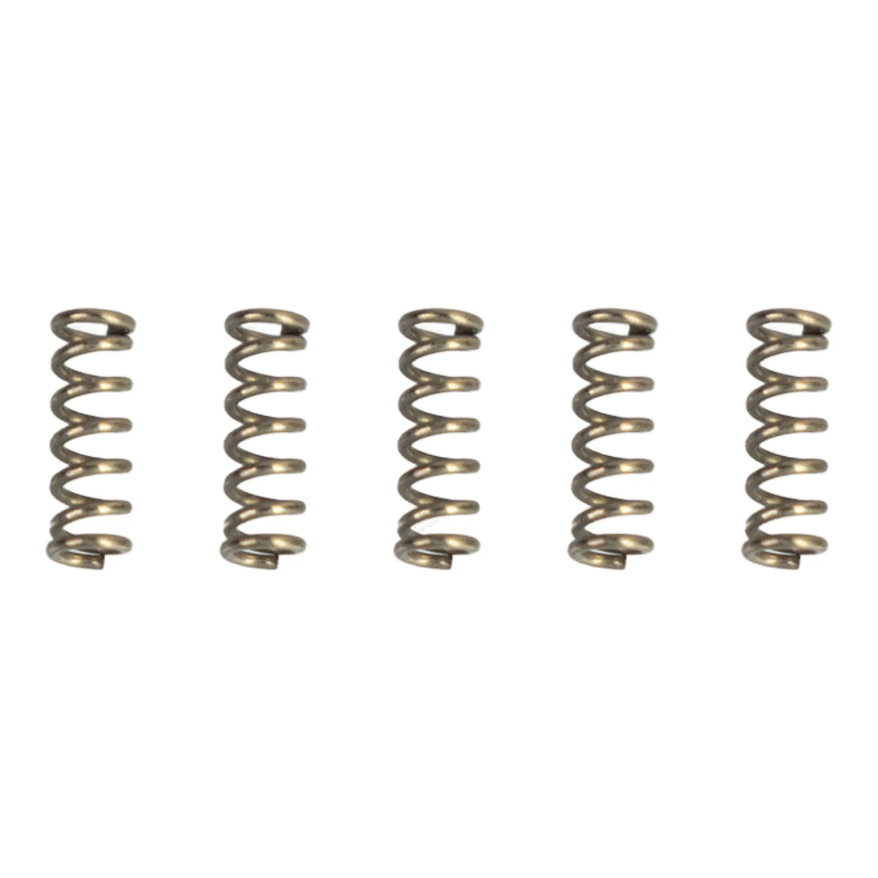 Valve Spring 5er Set für WE