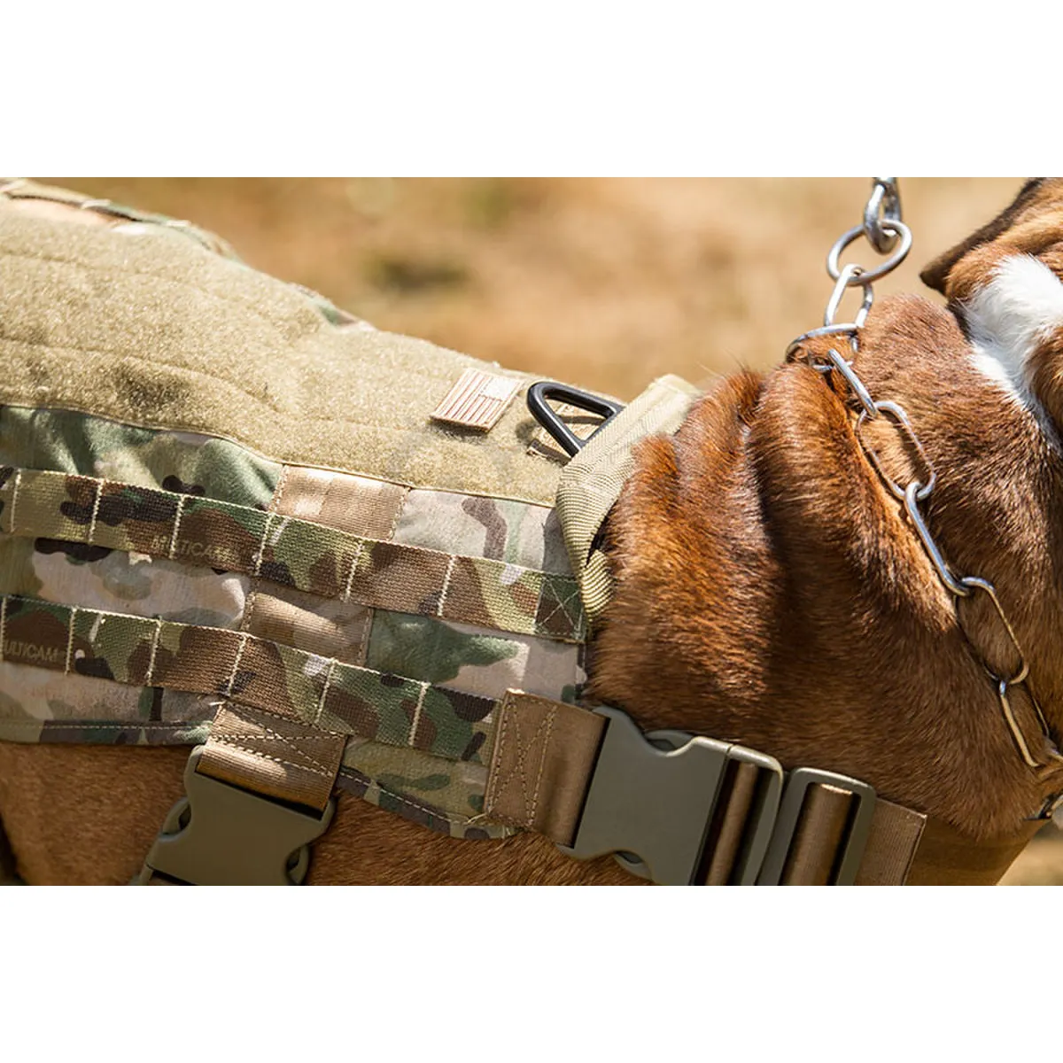 Vest of Dogs, Black Vest of Dogs, Black