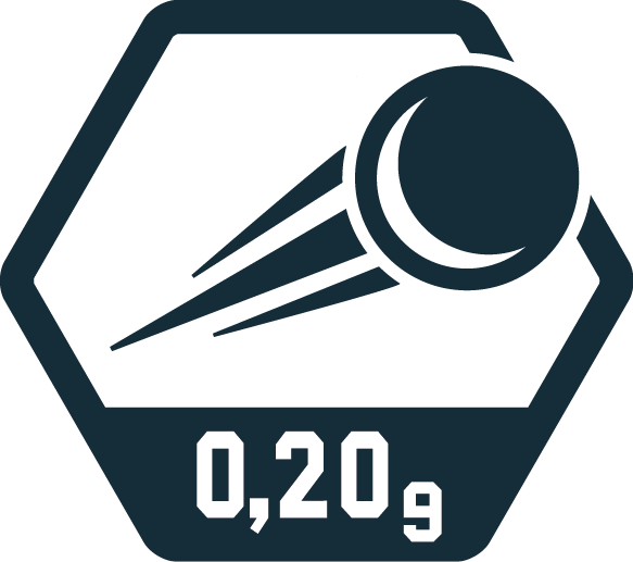 0,20g